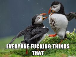 unpopular-opinion-puffin-not-unpopular.png