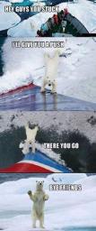 polar-bear-help-you.jpg