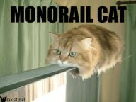 cat-monorail_left.gif