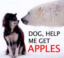 dog_help_me_get_apples.jpg