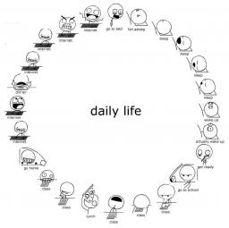 daily-life.jpg