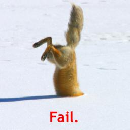 cat-fail-snow.jpg