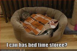 cat-bedtime-storee.jpg