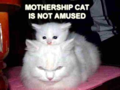 cat-mothership.jpg