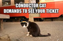 cat-conductor.jpg