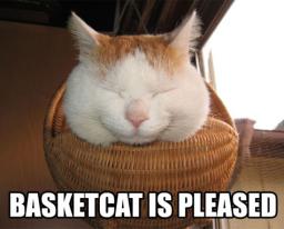cat-basket-pleased.jpg