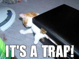 cat-case-trap.jpg