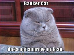 cat-banker.jpg