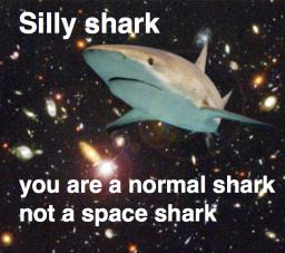 silly-shark.png