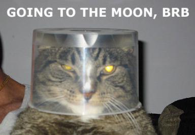 cat-moon.jpg