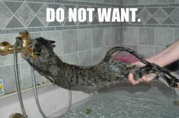 cat-bath-do-not-want.jpg