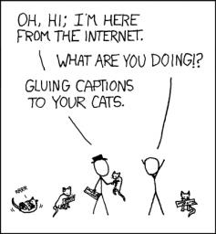 cat-captions.png
