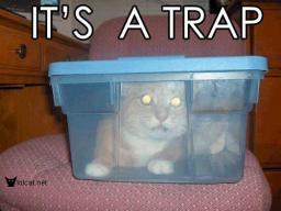 cat-trap.jpg