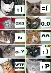 cat-emotes.jpg