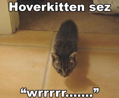 cat-hover.jpg