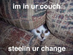 cat-couch.jpg