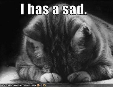 cat-has-a-sad.jpg