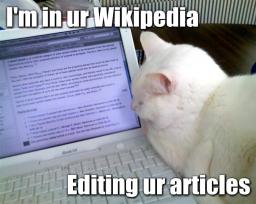 cat-wiki.jpg