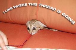 cat-thread-going.jpg