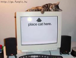 cat-placehere.jpg
